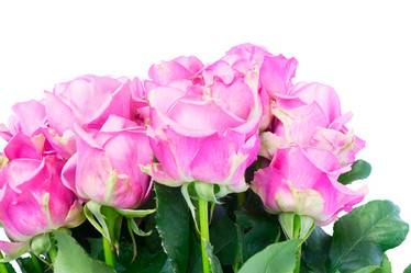 Similar image 13038538