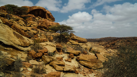 Similar image 13059342