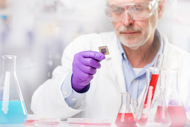 Similar image 13037726