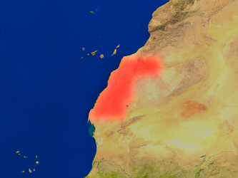 Similar image 13004041