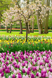 Similar image 13023397