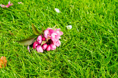 Similar image 13038697