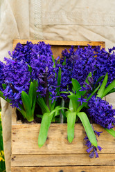 Similar image 13038738