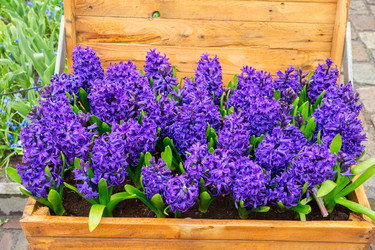 Similar image 13038423