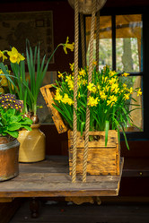 Similar image 13038444