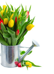 Similar image 13023313