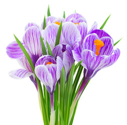 Similar image 13023375