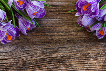 Similar image 13023494