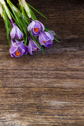 Similar image 13023594