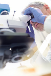 Similar image 13037751