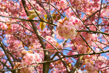 Similar image 13023514