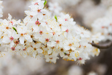 Similar image 13023613