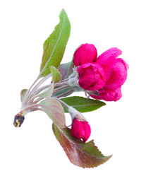 Similar image 13023614