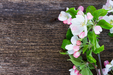 Similar image 13023615