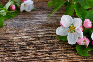 Similar image 13023632