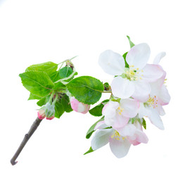 Similar image 13023633