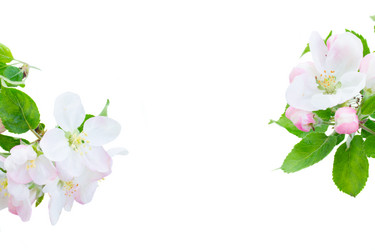 Similar image 13023634