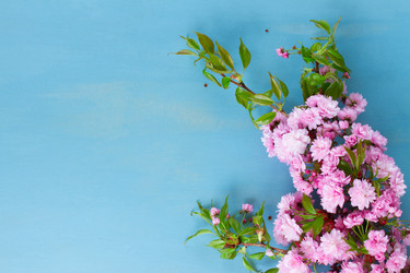 Similar image 13038907