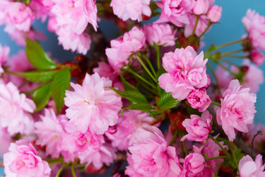 Similar image 13038909