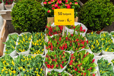 Similar image 13023314