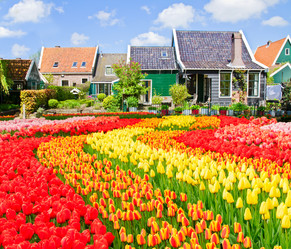 Similar image 13023356