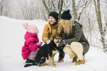 Similar image 13001460