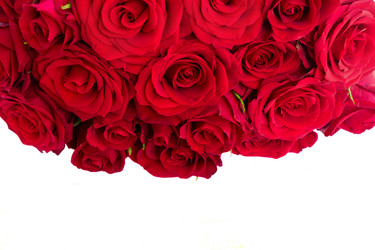 Similar image 13046078