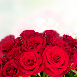 Similar image 13046079