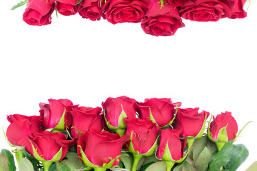 Similar image 13046177