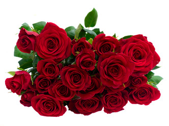 Similar image 13050568