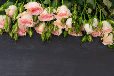 Similar image 13023451