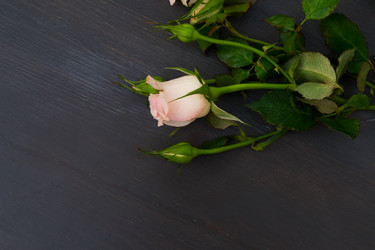 Similar image 13023495