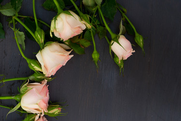 Similar image 13023496