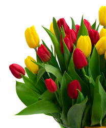 Similar image 13017066