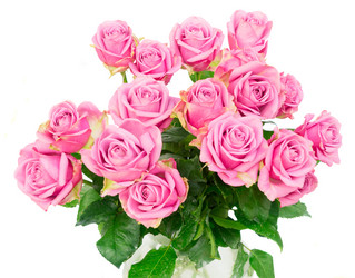 Similar image 13038643