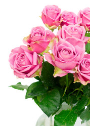 Similar image 13038878