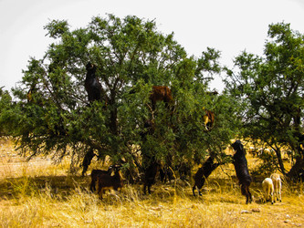 Similar image 13041865