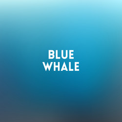 Similar image 13065885