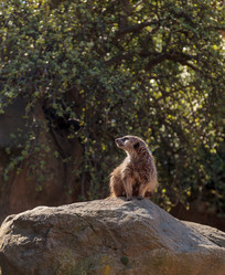 Similar image 13051610