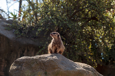 Similar image 13051643