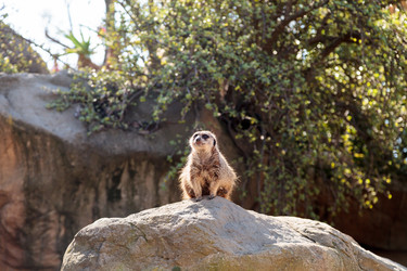 Similar image 13051644