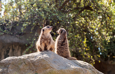 Similar image 13051645