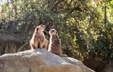 Similar image 13051266