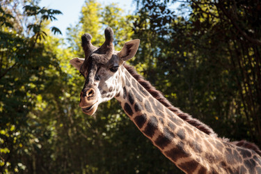 Similar image 13051705