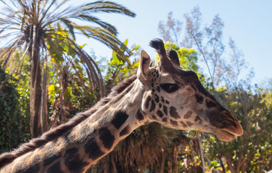 Similar image 13051287