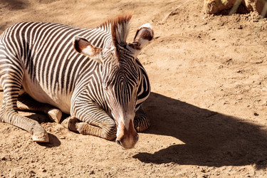 Similar image 13051721