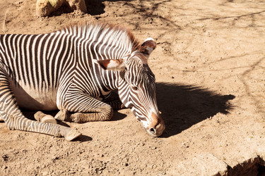 Similar image 13051349