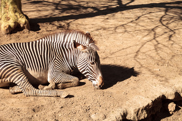 Similar image 13051775