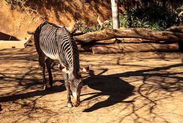 Similar image 13051776