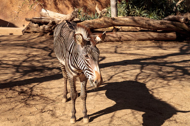 Similar image 13051366